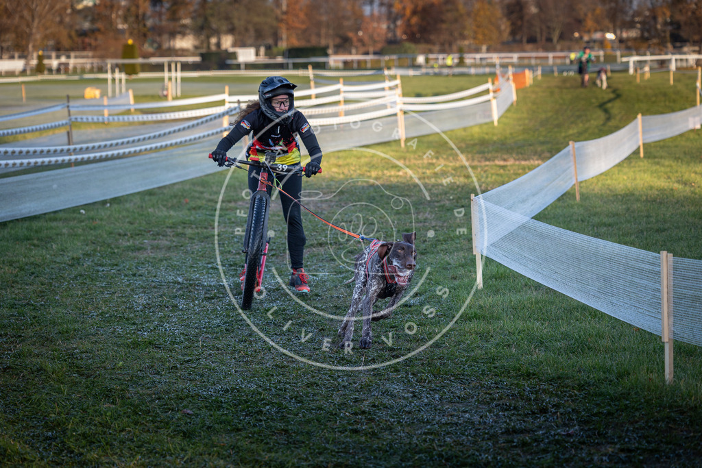 CaniXpix_0L8A2338 | Hundefotografie, Tierfotograf, Pfotenfotografie, Fotoshooting Hund, Hunde Portrait, Hundesport, Hundeportraits, Heideshooting, Hunde, Sportfotograf, Hundefotograf, Turnierhundsport, THS,  - Realisiert mit Pictrs.com