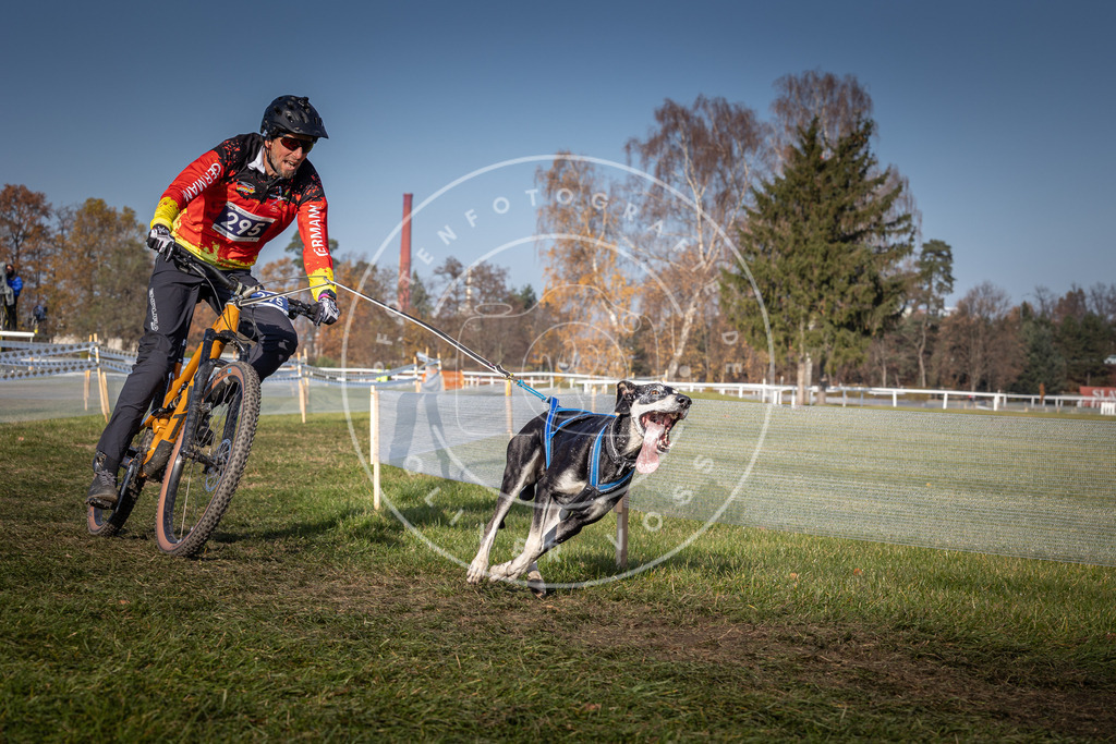 CaniXpix_0L8A7251 | Hundefotografie, Tierfotograf, Pfotenfotografie, Fotoshooting Hund, Hunde Portrait, Hundesport, Hundeportraits, Heideshooting, Hunde, Sportfotograf, Hundefotograf, Turnierhundsport, THS,  - Realisiert mit Pictrs.com