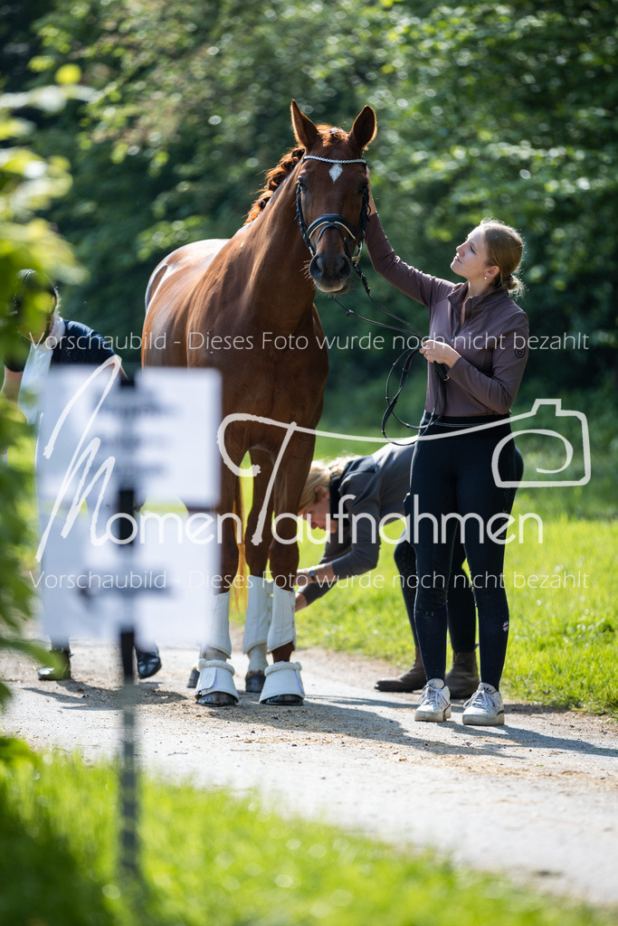 HH-Randmomente-008 | MomenTaufnahmen Pferdesportfotos