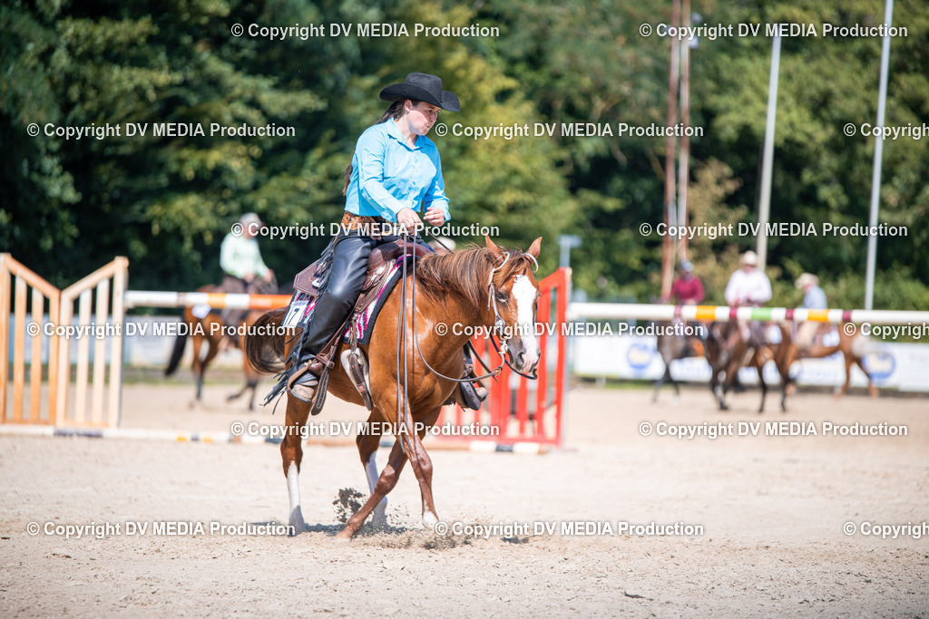 ZS1_1607 | dv-media-shop - Realisiert mit Pictrs.com