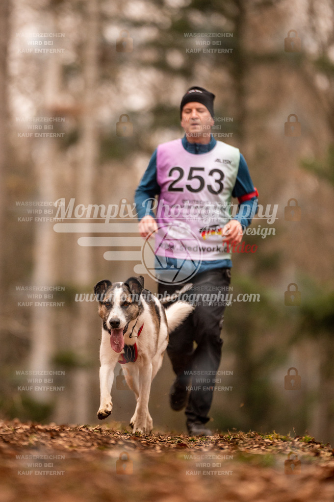 AKM_ST_2023_SAM_Run-149 | PayLife