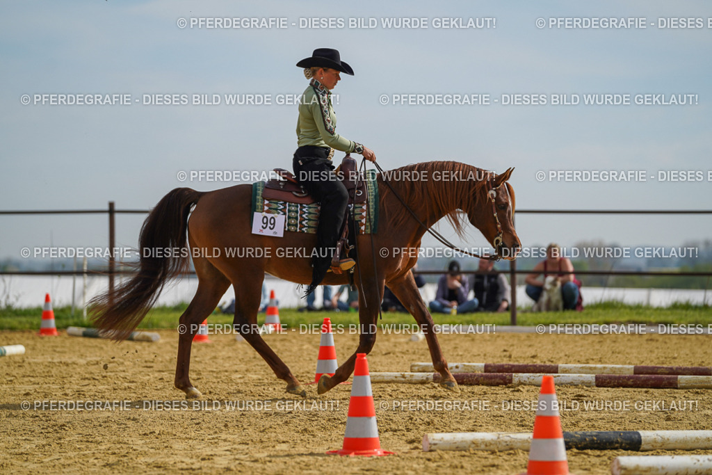 DSC01806 | Pferdegrafie