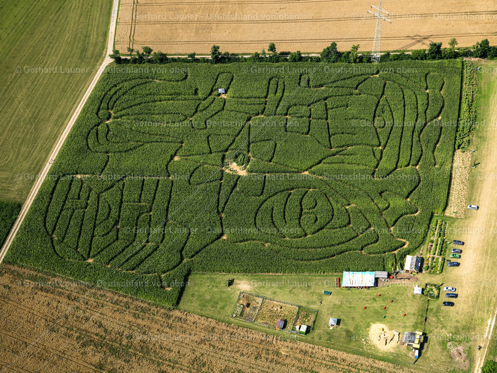 2819385 | Maislabyrinth bei Rexingen