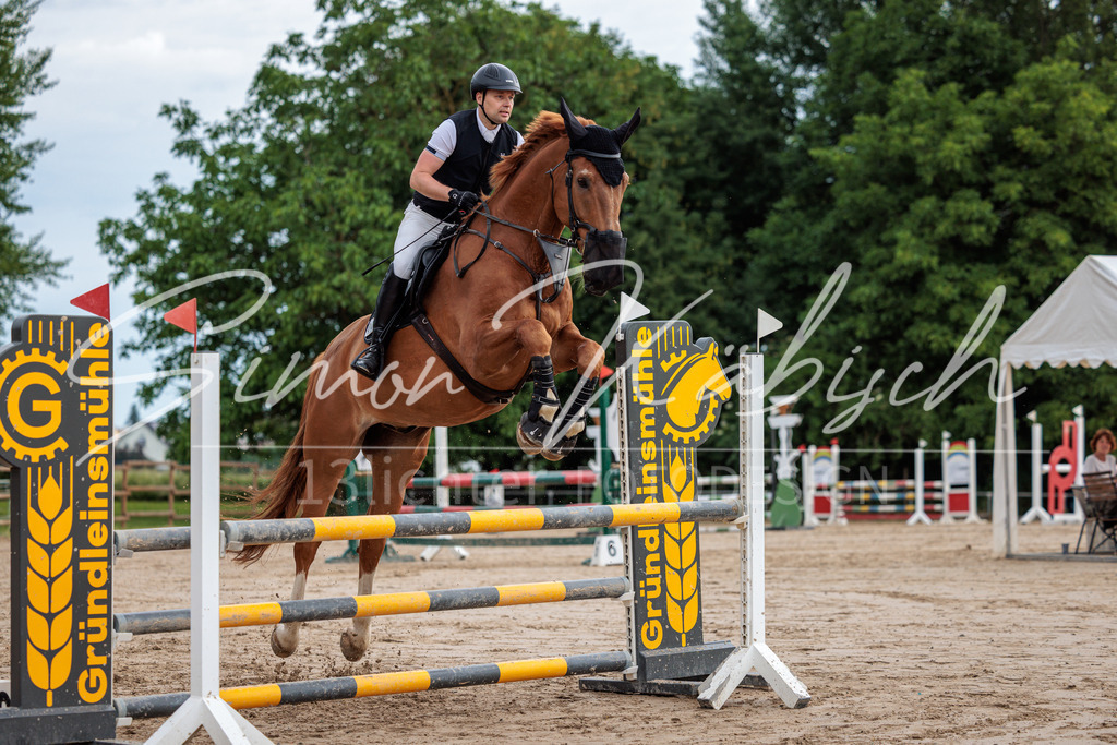 20260531-_3LI3246 | Tierfotografie Pferde, Hunde, Katzen, Haustiere.
Turnierfotografie Reitturniere, Reiten, Springreiten, Dressur in Hanau, dem Main-Kinzig-Kreis und dem Rhein-Main- Gebiet um Frankfurt