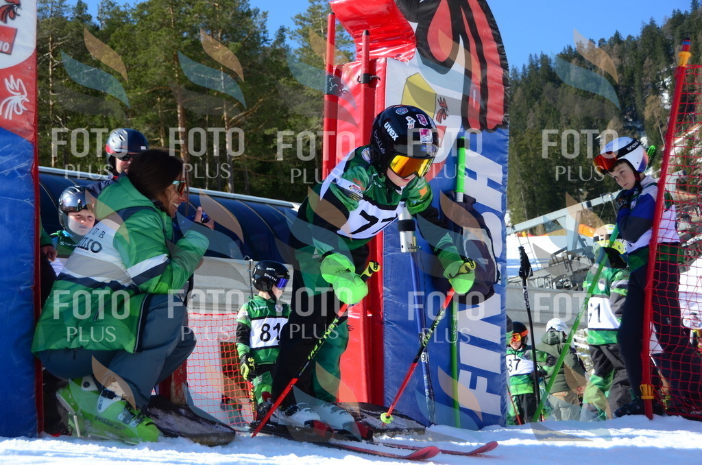 C5541 | holidayphoto