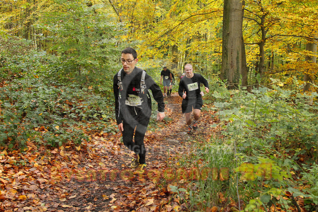 251026_1246_EV4_5795 | Sportfotografie im Rhein-Sieg Kreis, Köln, Bonn, NRW, Rheinland Pfalz, Hessen, etc. Unser Tätigkeitsfeld umfasst den Laufsport vom Volkslauf über den Marathon, Duathlon, Triathon bis zum Ultralauf wie Kölnpfad Ultra oder Schindertrail.