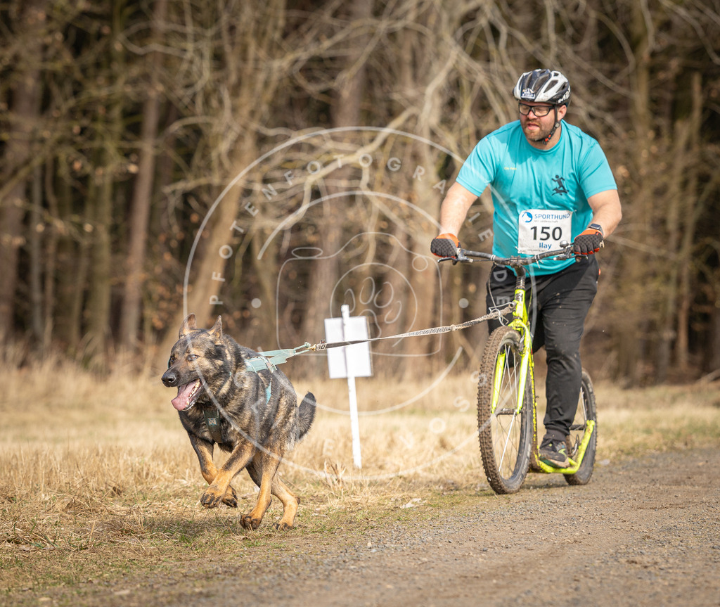 DV3A4815 | Hundefotografie, Tierfotograf, Pfotenfotografie, Fotoshooting Hund, Hunde Portrait, Hundesport, Hundeportraits, Heideshooting, Hunde, Sportfotograf, Hundefotograf, Turnierhundsport, THS,  - Realisiert mit Pictrs.com