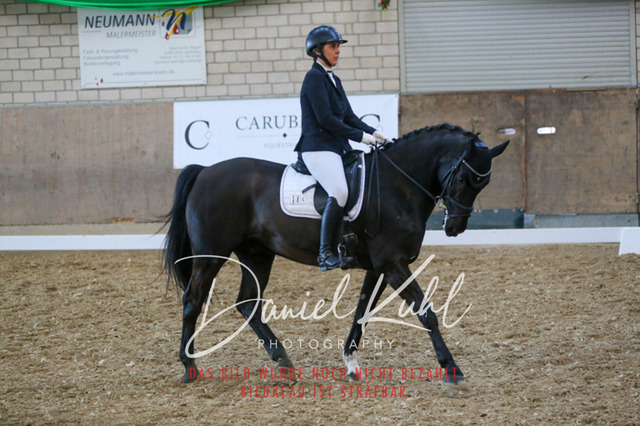 IMG_2652 | Turnierfotos kaufen im Webshop von Daniel Kuhl Photography – entdecke professionelle Reitsportfotos aus Turnieren & Events. Hochwertige Turnierbilder online bestellen & sichern. Jetzt Fotos von Reitsportturnieren kaufen!