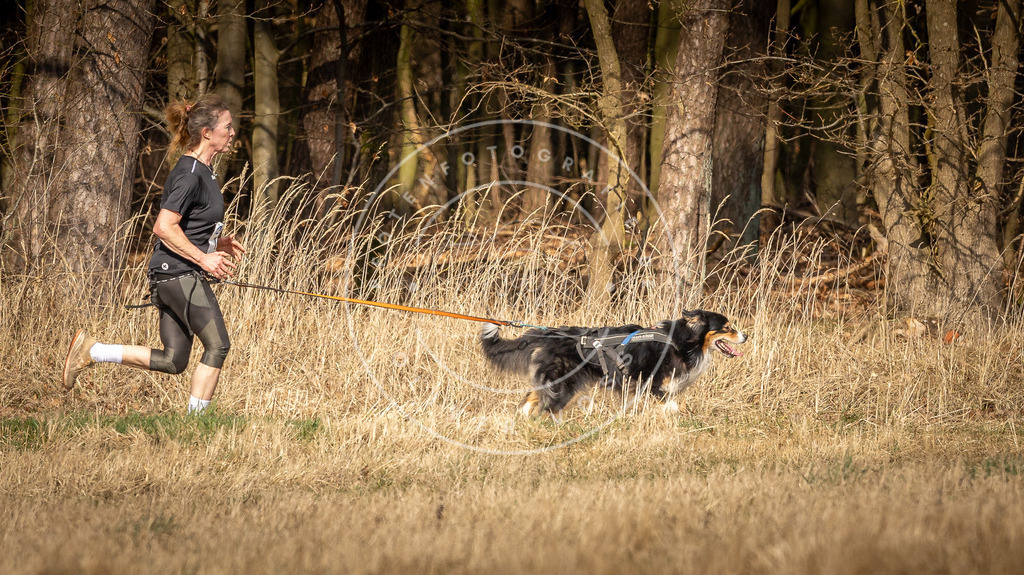 DV3A5586 | Hundefotografie, Tierfotograf, Pfotenfotografie, Fotoshooting Hund, Hunde Portrait, Hundesport, Hundeportraits, Heideshooting, Hunde, Sportfotograf, Hundefotograf, Turnierhundsport, THS,  - Realisiert mit Pictrs.com