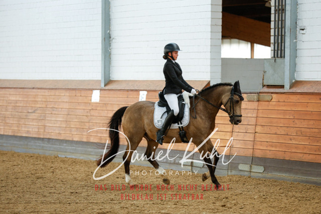 _62_7011 | Turniersportfotografie; Pferdefotografie; Dressurfotografie