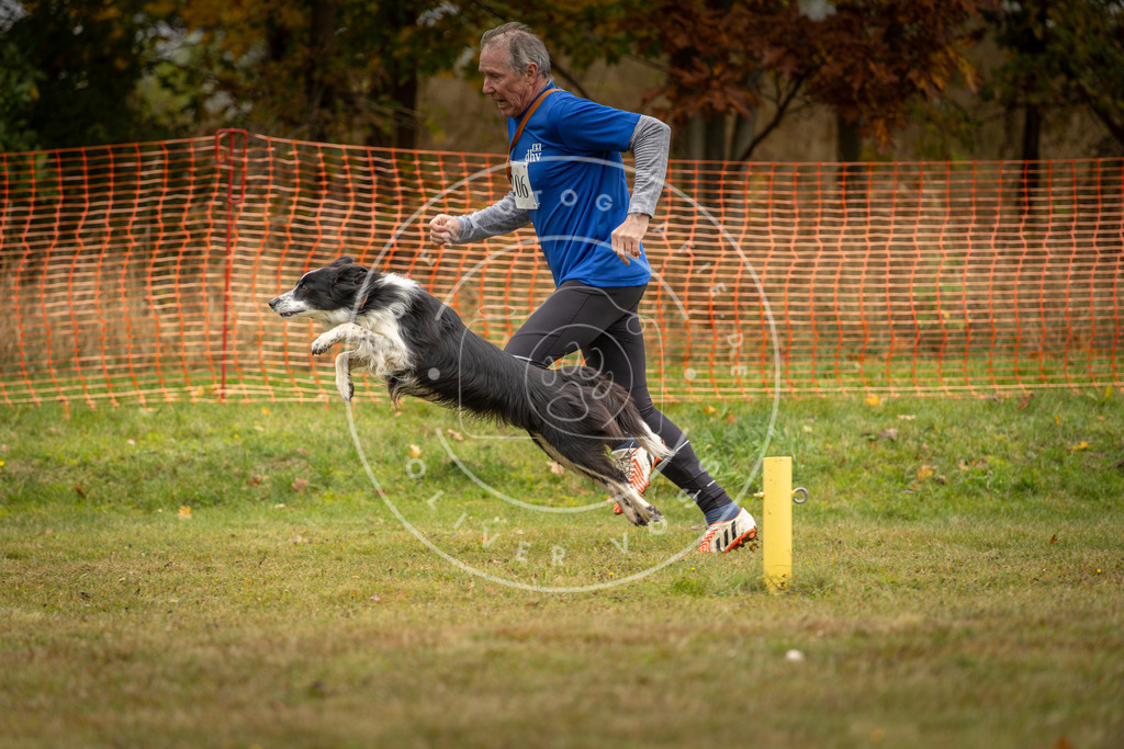 Pfotenfotografie_DV3A2648 | Hundefotografie, Tierfotograf, Pfotenfotografie, Fotoshooting Hund, Hunde Portrait, Hundesport, Hundeportraits, Heideshooting, Hunde, Sportfotograf, Hundefotograf, Turnierhundsport, THS,  - Realisiert mit Pictrs.com