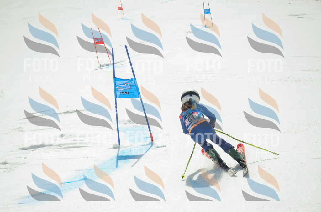 _ELE5203 | holidayphoto