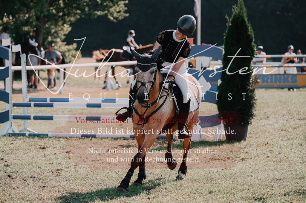 DSC_4857 | Pferde- und Turnierfotografie in Westsachsen. Pferdeportraits, Auftragszeichnungen und intuitive Kunst.