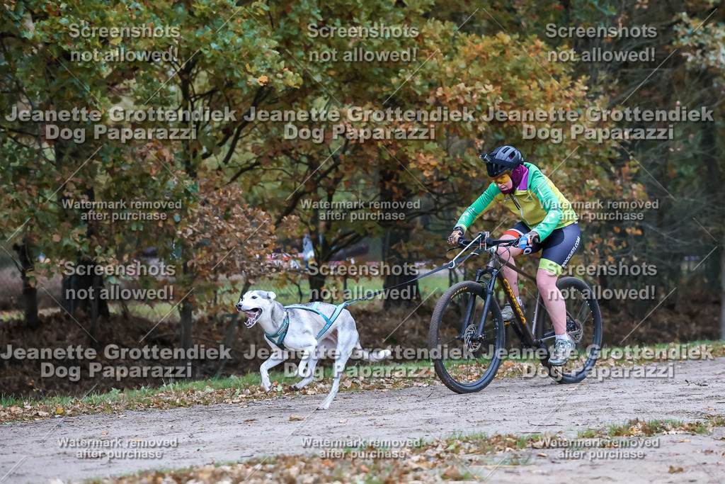 Dog Paparazzi - SD CaniX Championship 2025-56 | Dog Paparazzi Jeanette Grottendiek Fotografie & Videografie