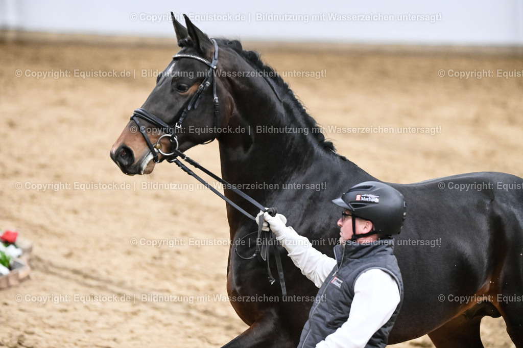 20260307_Hengstvorstellung-Marbach_0302 | equistock