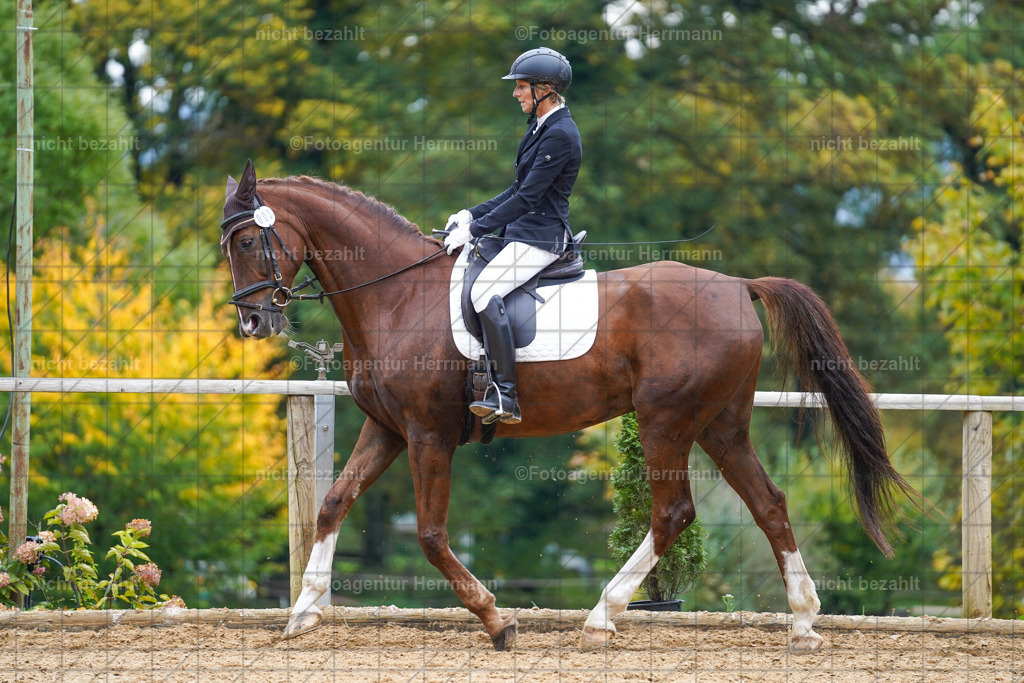 20221008-FAH01541 | Diessen am Ammersee, 2022, Dressur- und Springturnier, Reitsportbilder, Turnierfotografen Bayern, Pferdefotografen, Fotoagentur Herrmann, Turnierbilder