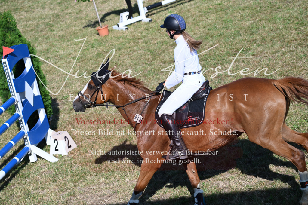 DSC_2288 | Pferde- und Turnierfotografie in Westsachsen. Pferdeportraits, Auftragszeichnungen und intuitive Kunst.