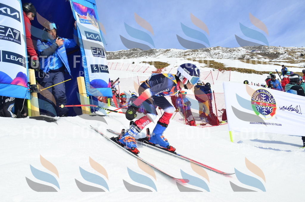 _ELE1404 | holidayphoto