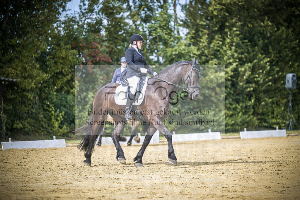 DOS_6631 | Entdecke hochwertige Reitturnierfotos von Foto Oger. Professionell, emotional und authentisch – jetzt Lieblingsmomente im Shop bestellen.Deutschlandweite Turnierfotografie. - Realisiert mit Pictrs.com