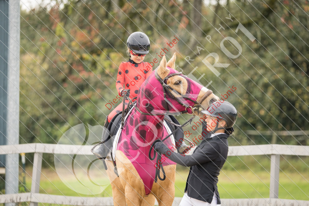 CON_3670 | Sport-, Event- und Tierfotos in Profiqualität. Einfach auswählen, bestellen und herunterladen. Dein Moment – perfekt festgehalten.