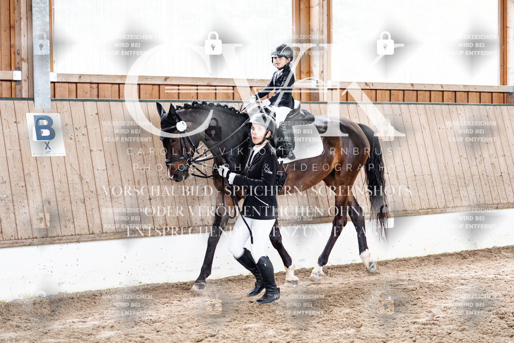 CK902115 | Turnierfotografie Pferdefotografie Trier Rheinland-Pfalz Pferdesport Reitsport Tierfotografie Sportfotografie Pferdevideo Pferdevideografie Equestrianvideography equestrianphotography  - Realized with Pictrs.com