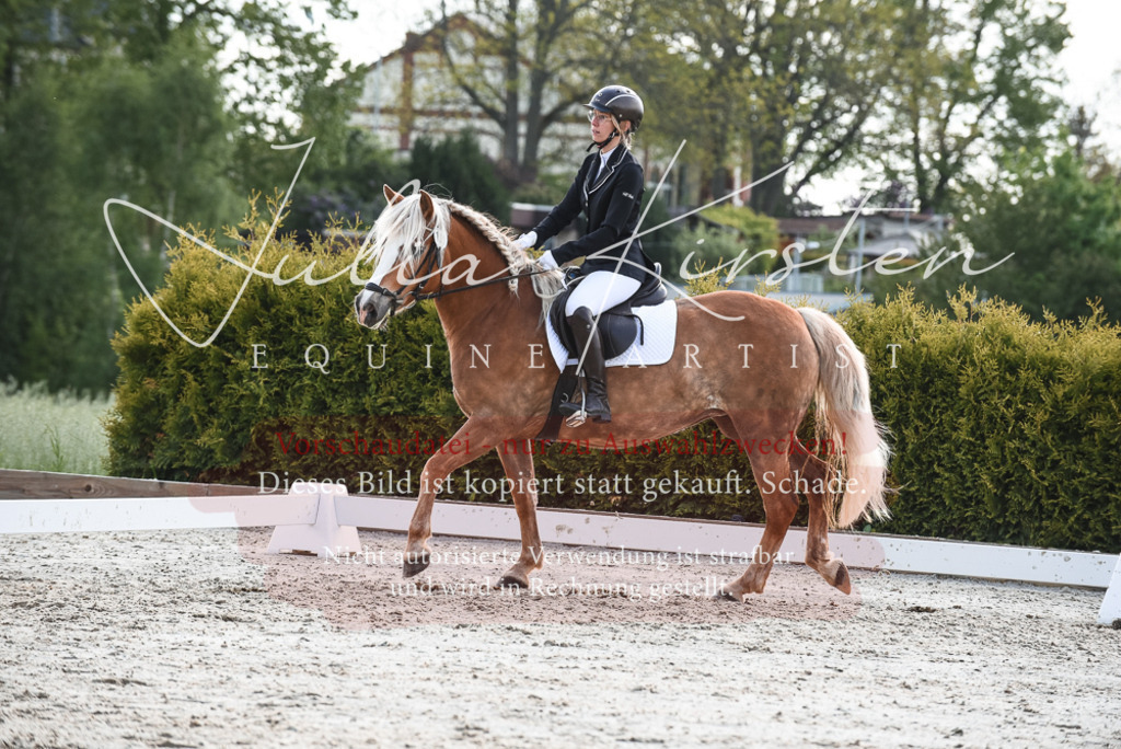 20230518_JK-Röhrsdorf-09-1605 | Pferde- und Turnierfotografie in Westsachsen. Pferdeportraits, Auftragszeichnungen und intuitive Kunst.