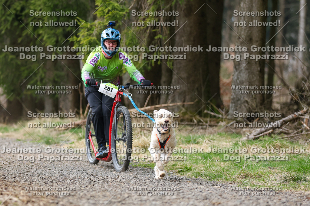 Dog Paparazzi - VCC26-515 | Dog Paparazzi Jeanette Grottendiek Fotografie & Videografie - Realisiert mit Pictrs.com