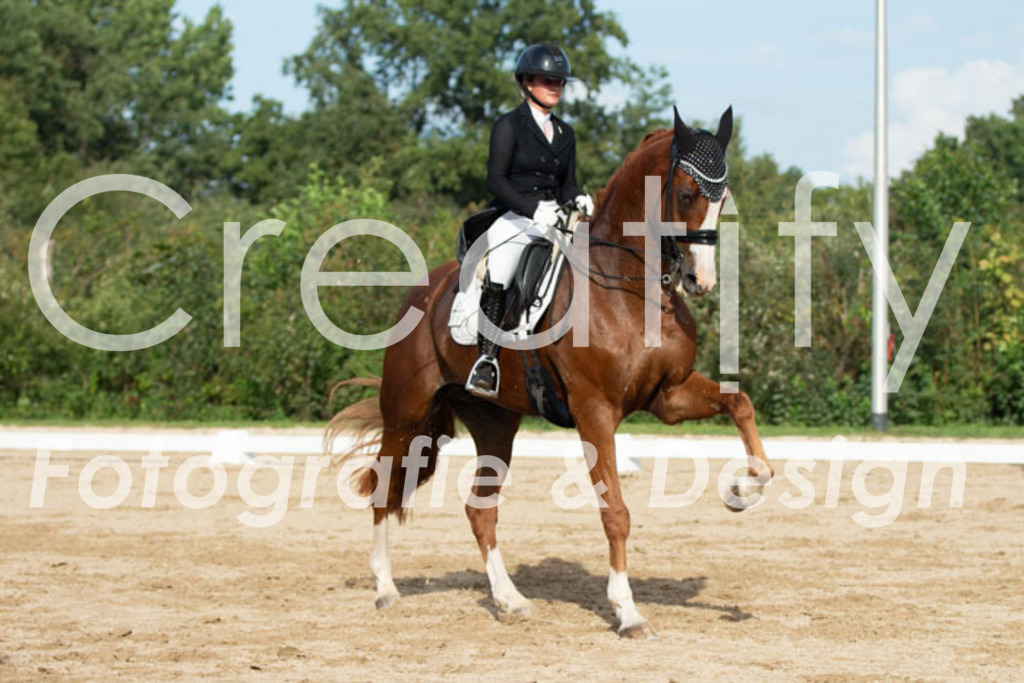 IMG_4316 | Creatify Fotografie