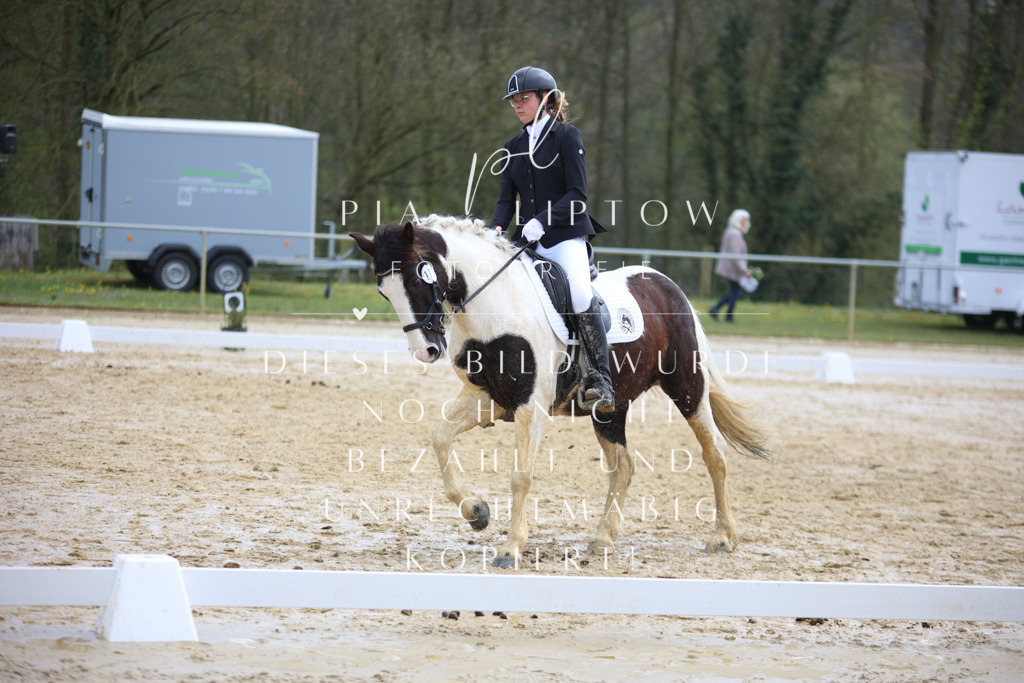 IMGT4060 | pl-fotografie