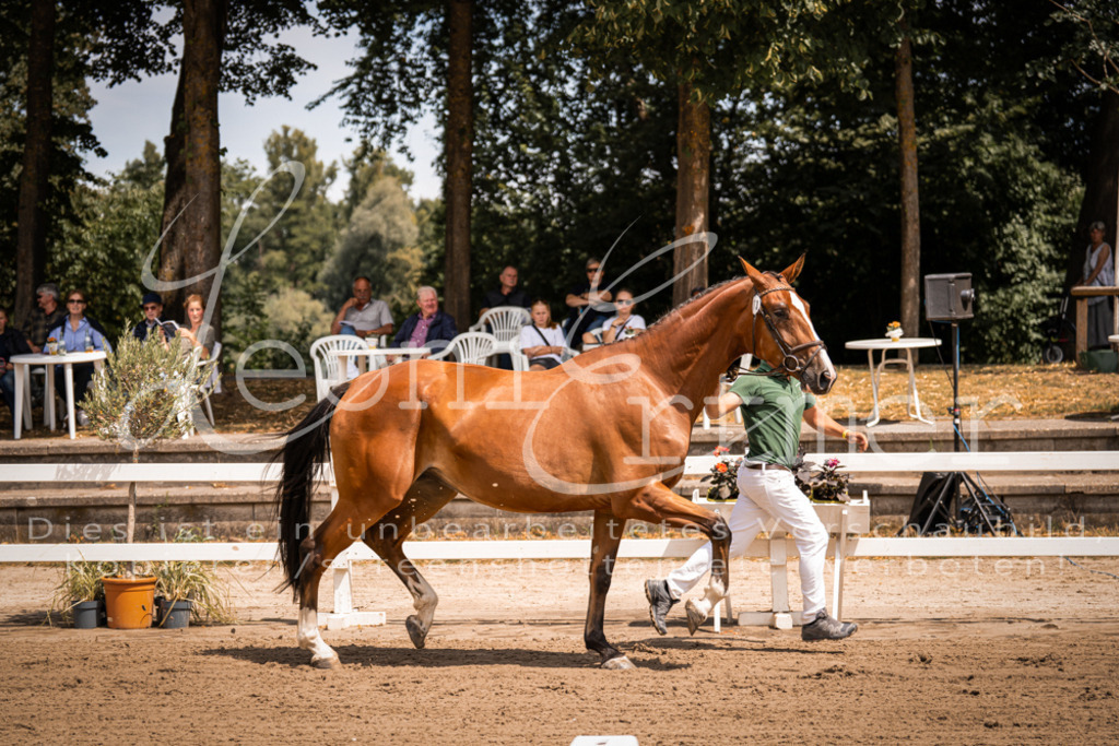 1.Fr00103 | Leoni Ertmer Photography - Realisiert mit Pictrs.com