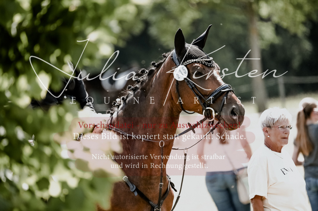 DSC_9542 | Pferde- und Turnierfotografie in Westsachsen. Pferdeportraits, Auftragszeichnungen und intuitive Kunst.