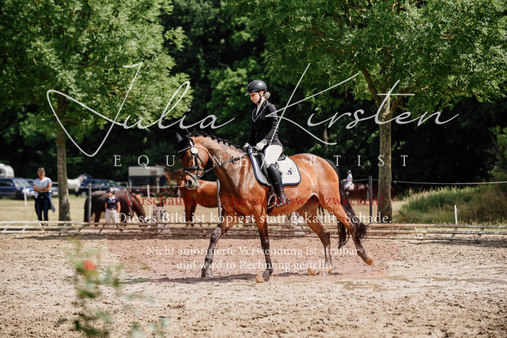 DSC_0939 | Pferde- und Turnierfotografie in Westsachsen. Pferdeportraits, Auftragszeichnungen und intuitive Kunst.