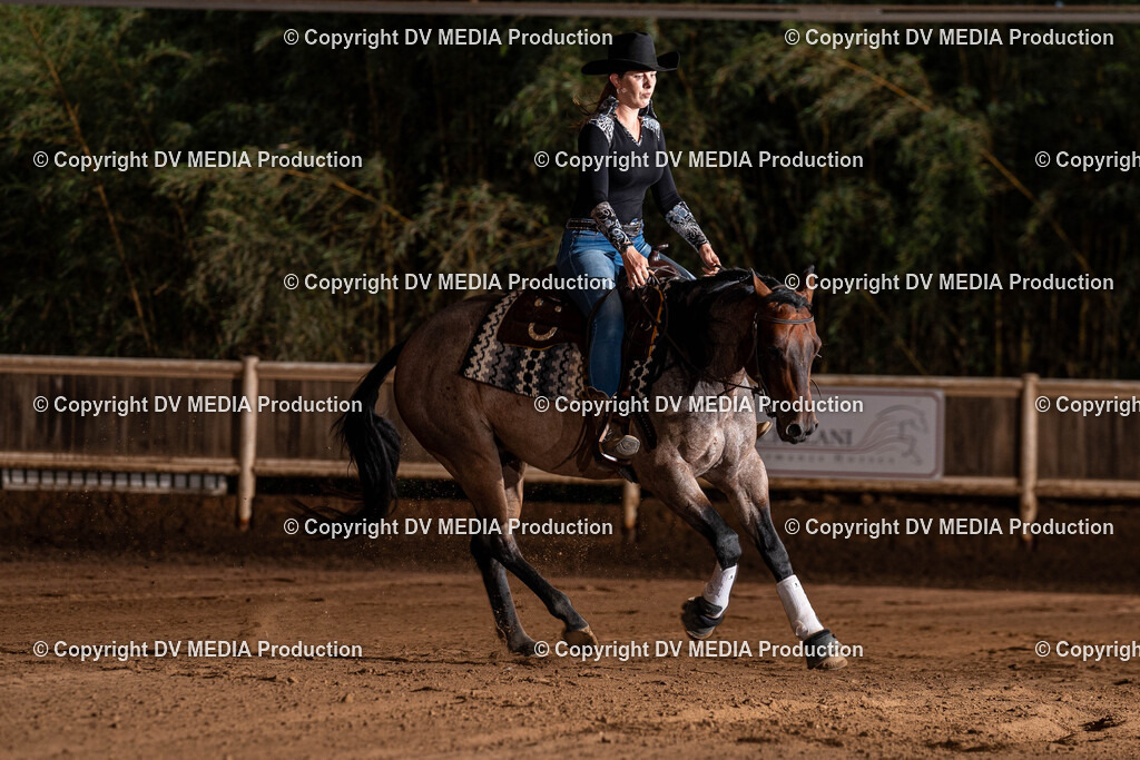 Erbach Tag 1-1282 | dv-media-shop - Realisiert mit Pictrs.com