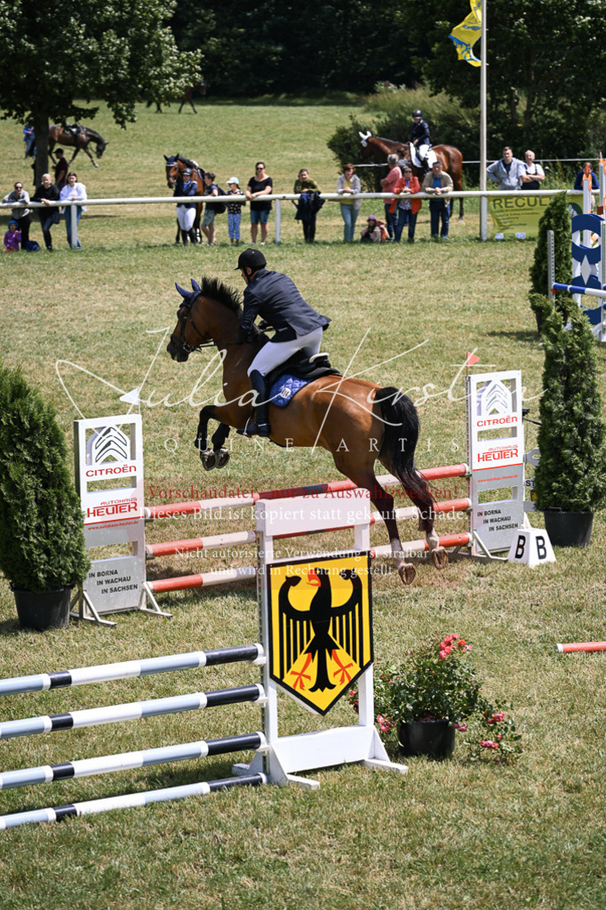 DSC_9482 | Pferde- und Turnierfotografie in Westsachsen. Pferdeportraits, Auftragszeichnungen und intuitive Kunst.