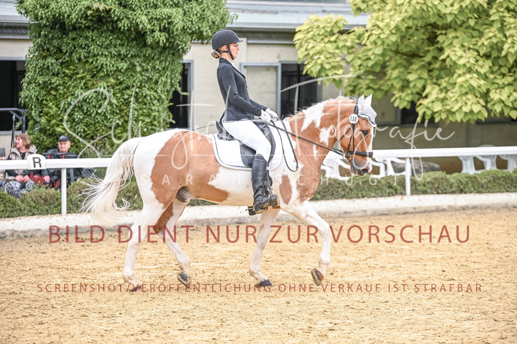 Schugtsche-Aluta25-44.DresssurreiterWB-152 | Schugtsche Fotografie - Realisiert mit Pictrs.com