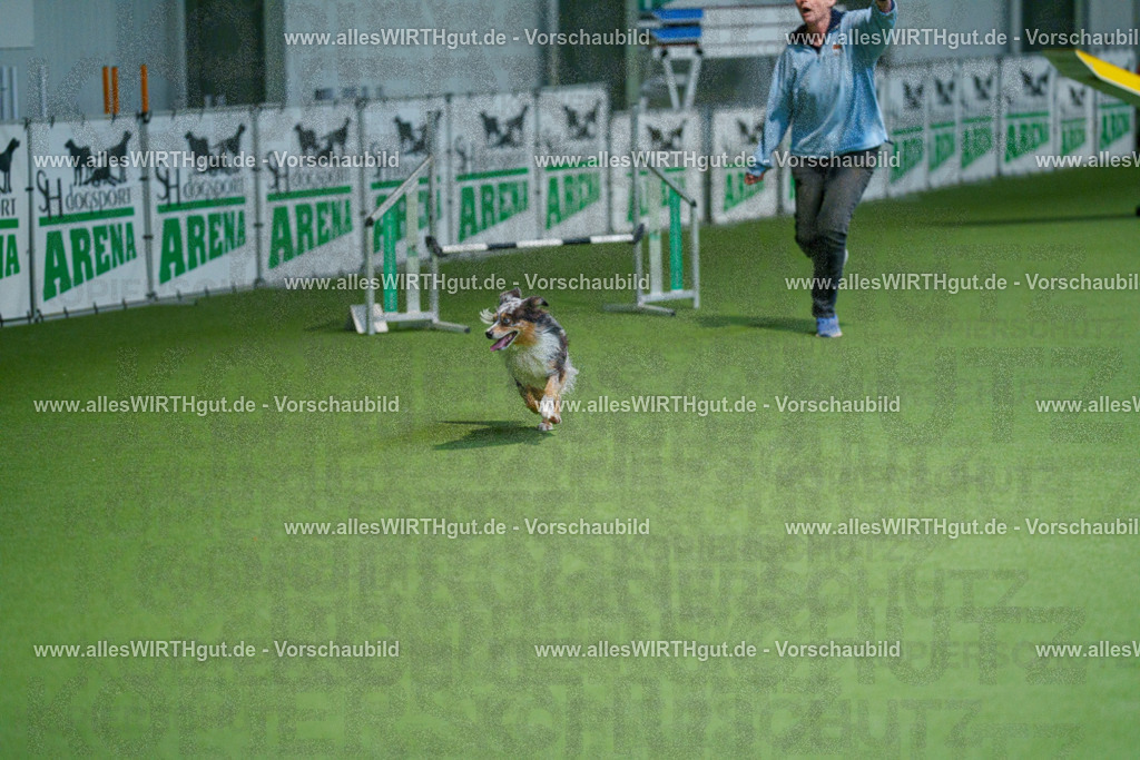 @allesWIRTHgut_Tierfotografie - www.allesWIRTHgut.de - 2604250842-7R507503 | Professionelle Tierfotografie in Mönchengladbach von Daniel Wirth (allesWIRTHgut). Liebevolle & natürliche Bilder von Hunden & Katzen für unvergessliche Erinnerungen.