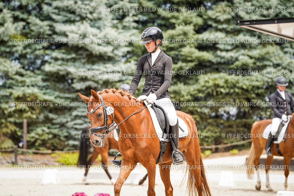 DSC04267 | Pferdegrafie