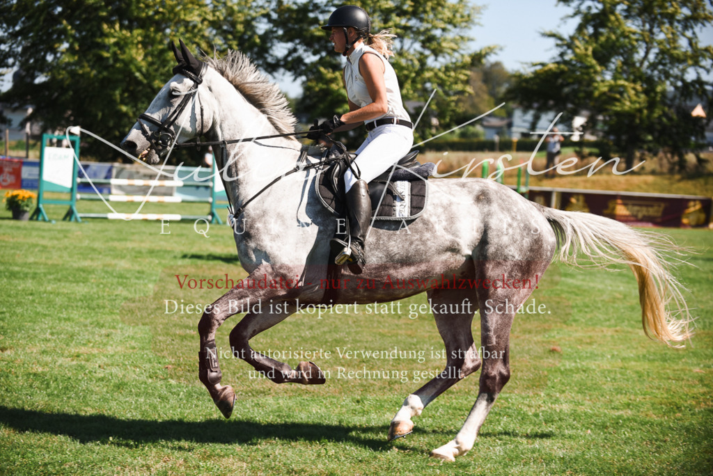 DSC_2733 | Pferde- und Turnierfotografie in Westsachsen. Pferdeportraits, Auftragszeichnungen und intuitive Kunst.