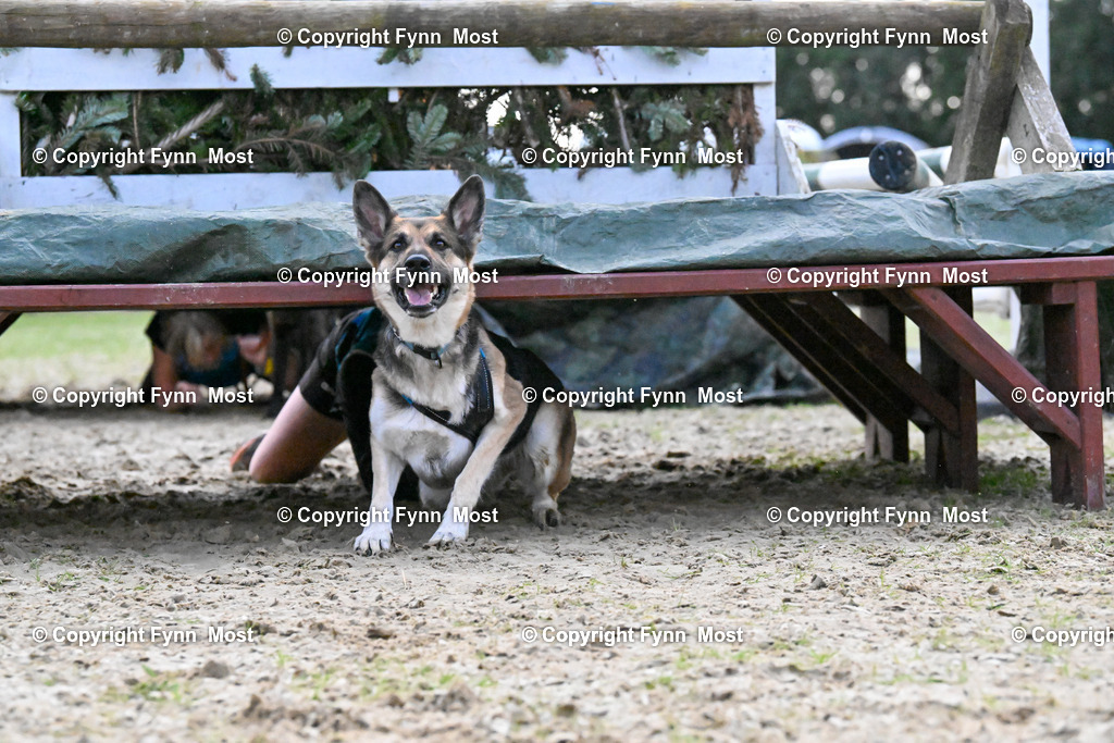 DSC_5012 | Hallo und herzlich Willkommen auf meiner Shop-Seite Fynn Most.

Ich wünsche Dir viel Spaß beim stöbern durch die Bilder, wenn Du Fragen hast oder Bilder vermisst, kannst du mir gerne eine Nachricht schreiben. - Realisiert mit Pictrs.com