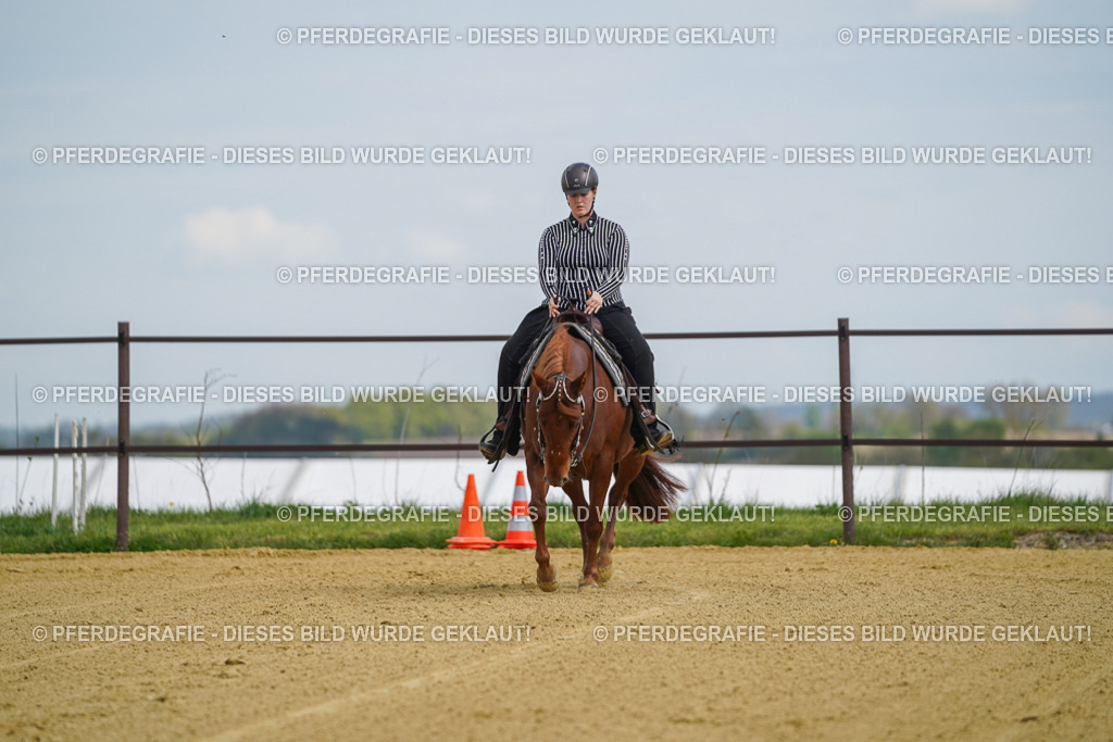 DSC05618 | Pferdegrafie