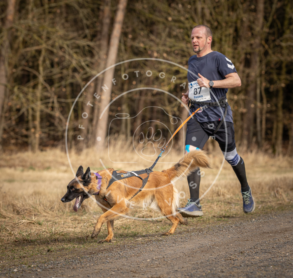 DV3A3967 | Hundefotografie, Tierfotograf, Pfotenfotografie, Fotoshooting Hund, Hunde Portrait, Hundesport, Hundeportraits, Heideshooting, Hunde, Sportfotograf, Hundefotograf, Turnierhundsport, THS,  - Realisiert mit Pictrs.com