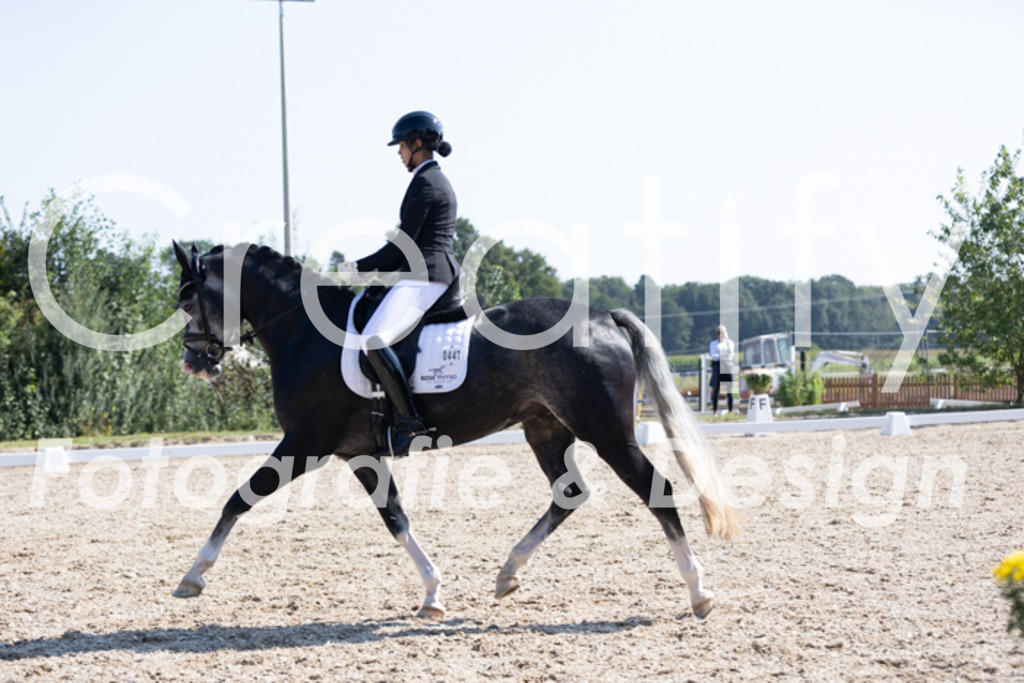 IMG_4460 | Creatify Fotografie