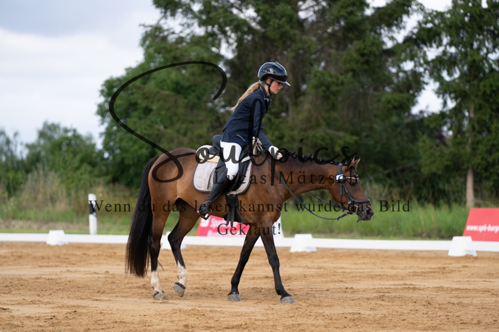 A7V05204 | Pferdefotograf