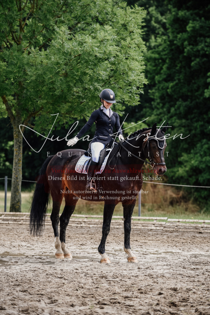 DSC_0581 | Pferde- und Turnierfotografie in Westsachsen. Pferdeportraits, Auftragszeichnungen und intuitive Kunst.
