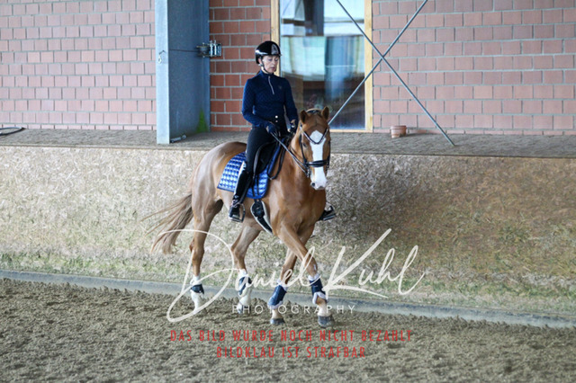 DKP42622 | Turniersportfotografie; Pferdefotografie; Dressurfotografie