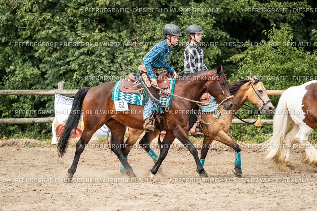 DSC03942 | Pferdegrafie