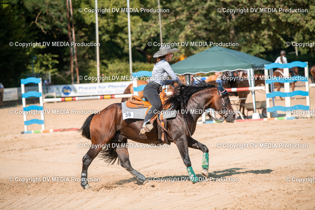 ZS2_8785 | dv-media-shop - Realisiert mit Pictrs.com