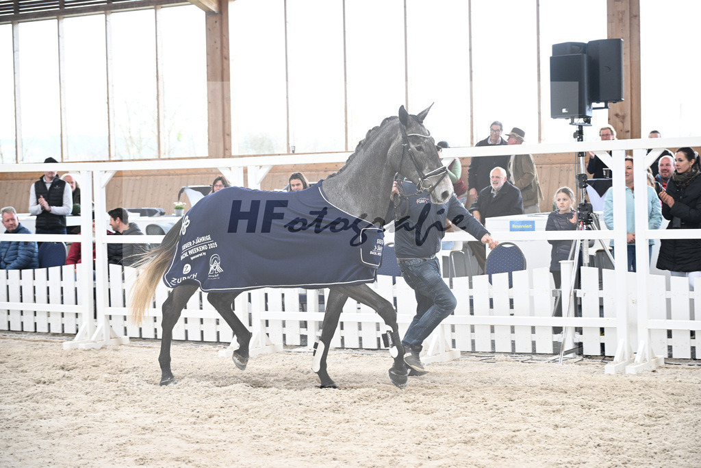 Kat-Nr. 5 Geyers Larimar v. Cizero Z_Geyer_5251506 | hf-fotografie - Realisiert mit Pictrs.com