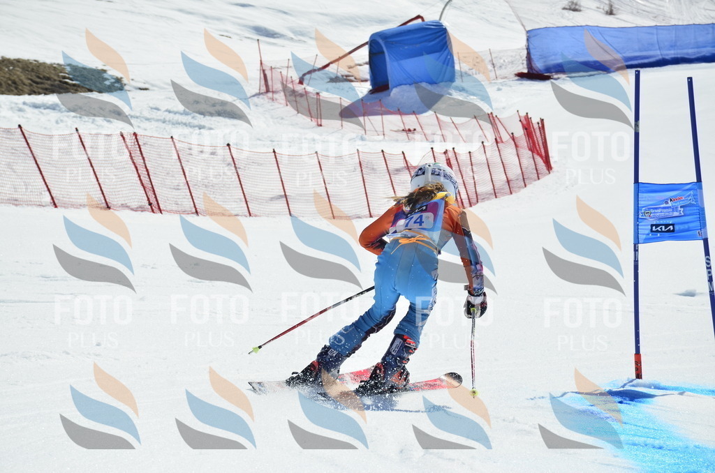 _ELE0367 | holidayphoto