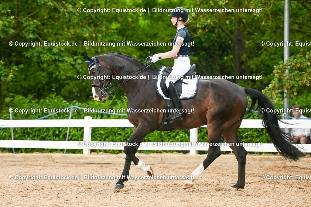 20230716_01_Dressurprüfung Kl.M_0492 | equistock